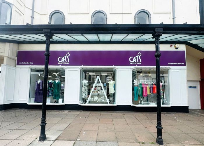 Cats Protection, Llandudno, Painting & Decorating